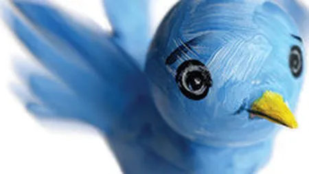 Co-fondator Twitter: Vom atinge 1 mld. de useri; saptamanal atragem 1,8 milioane de noi utilizatori