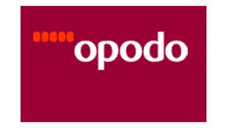 Google vrea sa cumpere agentia de turism online Opodo