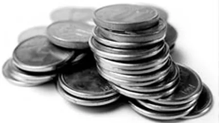 Frauda cu un prejudiciu de circa 290.000 lei, descoperita de Garda Financiara Arad