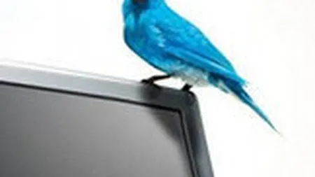 Va atinge Twitter 200 milioane de useri pana la finalul anului?