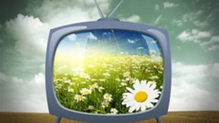 Al treilea trimestru, cel mai bun din an pentru piata bunurilor de folosinta indelungata, in ciuda cresterii TVA