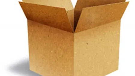 Veniturile Ecopack au crescut cu 7% la noua luni, dar profitul a scazut semnificativ