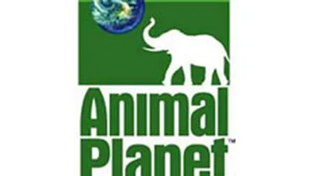 BBC isi vinde participatia din joint venture-ul cu Discovery pentru 156 mil. dolari