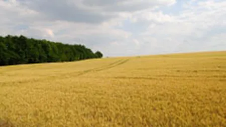 Ambasadorul Japoniei ne promite investitii in agricultura si mediu