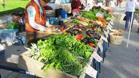 Vasilescu, BNR: Taranii nu pot castiga daca pacalesc clientii. Asta tine tara in loc