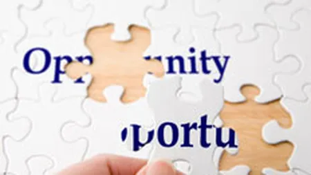 Romanii prind din nou curaj sa inceapa afaceri