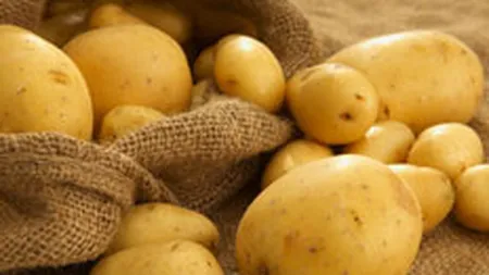 \Mancarea saracului\, cartoful, cea mai mare scumpire in noiembrie