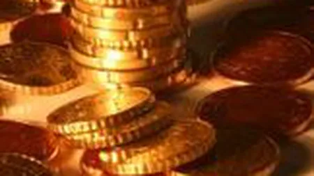 Bugetele majoritatii ministerelor, aprobate in comisiile de buget