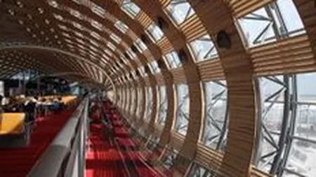 Aeroportul Charles de Gaulle din Paris inchide temporar pistele, din cauza ninsorii abundente