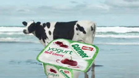 Nemtii de la Muller pompeaza 4,8 mil. euro in divizia de lactate din Romania