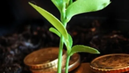 Bursa a inchis a doua sedinta din an pe verde, dominata de tranzactiile cu SIF Oltenia