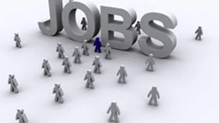 ANOFM: Aproape 7.000 de locuri de munca sunt disponibile in perioada 21-27 ianuarie