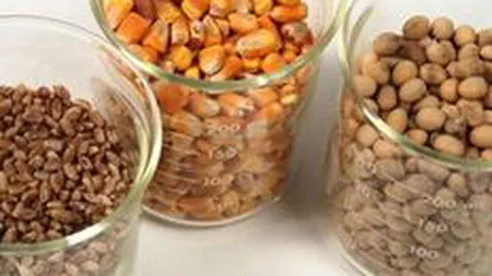 Analisti: Preturile marfurilor vor continua sa creasca si in prima parte a anului