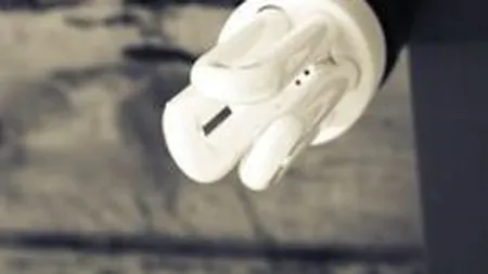 Pretul electricitatii poate ramane in acest an la nivelul din 2010