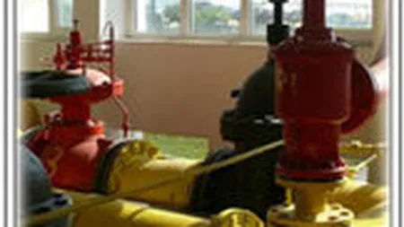 Standard&Poor's a mentinut rating-ul Transgaz