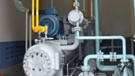 Slovacia si Ungaria vor construi un gazoduct care sa conecteze retelele celor doua state