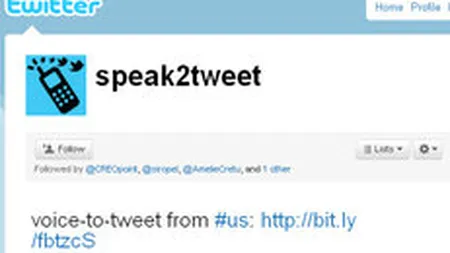 Cum pacalesc Google si Twitter cenzura online din Egipt
