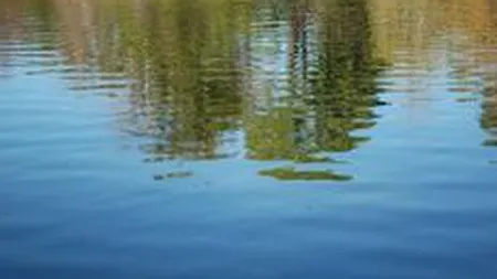 Investitie de 334 mil. euro in consolidarea malurilor Canalului Dunare-Marea Neagra