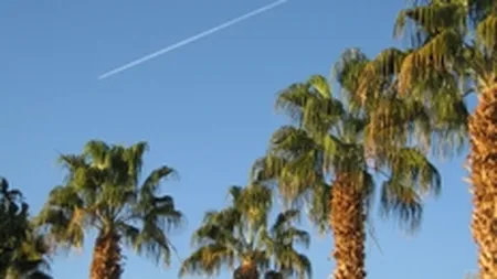 Protestele din Egipt si Tunisia ar putea costa TUI Travel 30 de mil. lire sterline