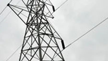 Veniturile Enel au crescut cu 14% in 2010, pana la 64,4 mld. euro