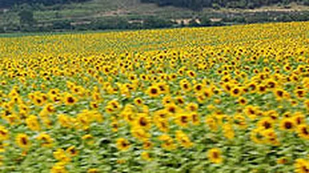 Cum ar arata agricultura, daca nu am mai importa alimente?