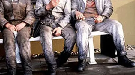 Muncitori romani, exploatati pe un santier din Cipru