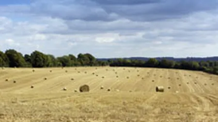 Romania ar putea fi amendata de CE cu 99 mil. euro