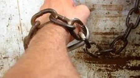 Penitenciarul Jilava propune ca detinutii sa fie folositi la agricultura, constructii