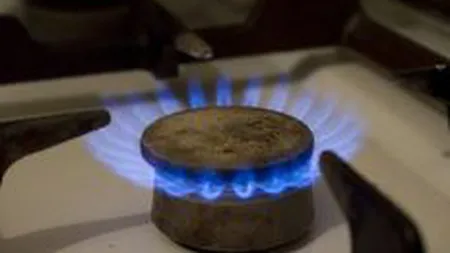 E.ON: Trebuie gasita o solutie sociala acceptabila in privinta pretului gazelor naturale