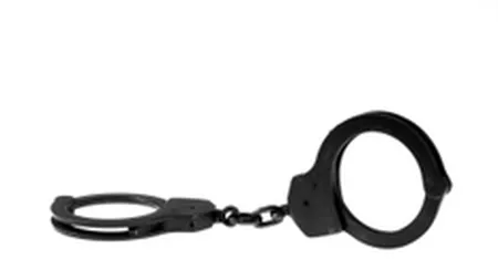 Judecatorii au arestat 86 de persoane implicate in fapte de coruptie la vami