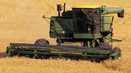 Tabara: Romania a exportat 2,3 milioane tone grau si a importat 685.000 tone
