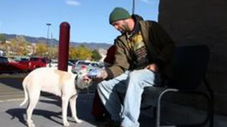 Guvernul ia in calcul recuperarea banilor incasati de asistatii sociali prin frauda