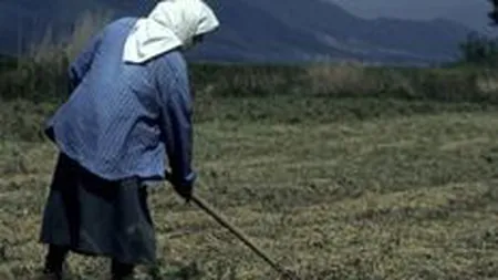 APIA a platit in perioada 15-18 februarie circa 145 mil. euro catre 290.000 de fermieri