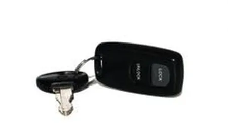 Guvernul se asteapta sa incaseze 500 mil. euro din taxa auto