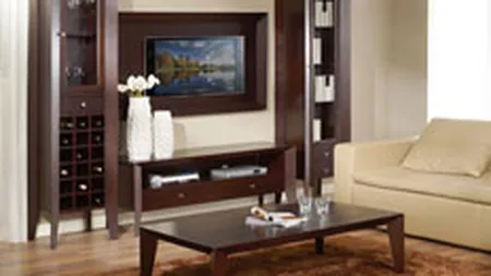 Sucu: Piata mobilei va scadea anul acesta, e printre ultimele domenii care vor depasi criza