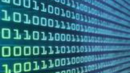 Piata romaneasca de software si servicii IT a scazut anul trecut cu 25%, la 800 mil. euro