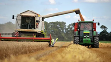 Agricultura, noul real estate? Bancile incep sa isi reorienteze creditele