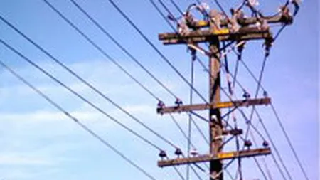 Resursele de energie electrica au crescut cu peste 10% in ianuarie