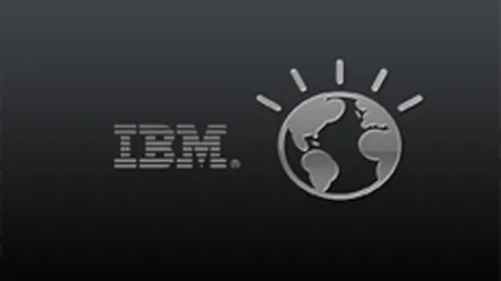 IBM asteapta venituri de 10 mld. $ din proiectele de gestionare a oraselor