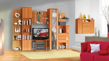 Producatorul de mobila Lemet vrea sa-si dubleze nivelul investitiilor in 2011