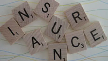 Asiguratorii din UNSAR au subscris prime de 6,9 mld. lei anul trecut - aproape 83% din total piata