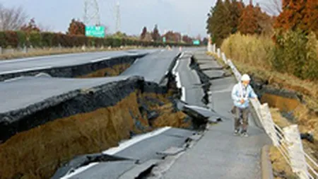 Ce efecte va avea cutremurul din Japonia asupra economiei romanesti