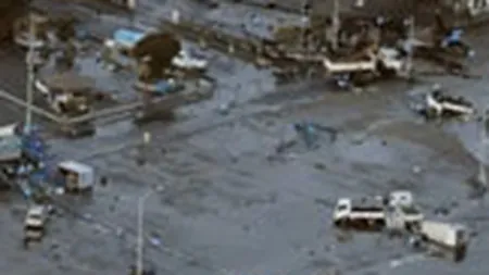 Victime colaterale ale cutremurului din Japonia. Vezi care sunt cele mai afectate companii din Europa si Statele Unite