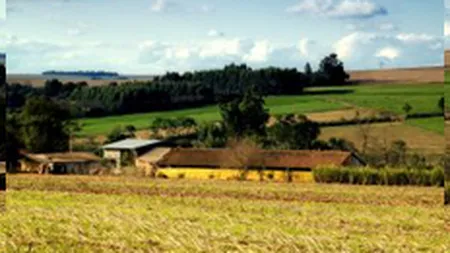 Vanzarea fermelor mici pe bucati ar putea fi interzisa