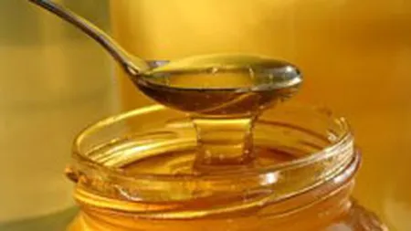 7 milioane euro pentru sustinearea apiculturii