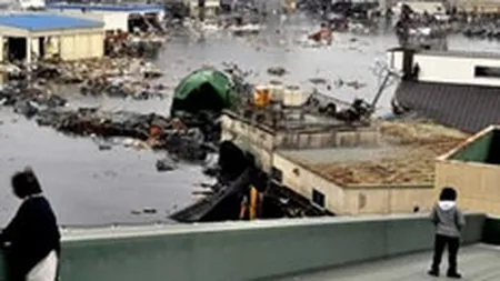 Bilantul oficial provizoriu al seismului din Japonia: Peste 5.100 de morti si 8.600 de disparuti