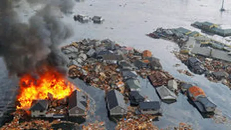Bilantul cutremurului din Japonia a depasit 6.500 de morti