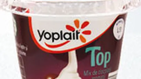 General Mills cumpara 50% din actiunile Yoplait cu 800 mil. de euro