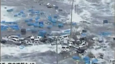 Industria auto va resimti efectele dezastrului din Japonia in al doilea trimestru al anului