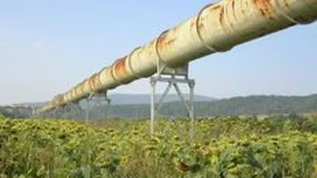 Productia de gaze a scazut anul trecut cu 2,8%, iar importurile au avansat cu 16,5%